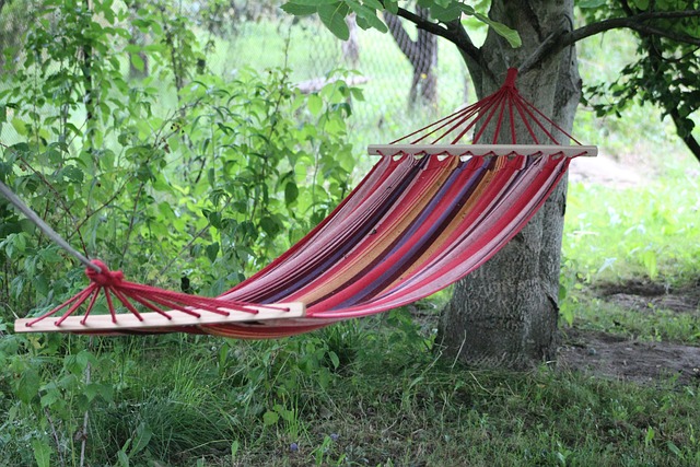 hammock swing